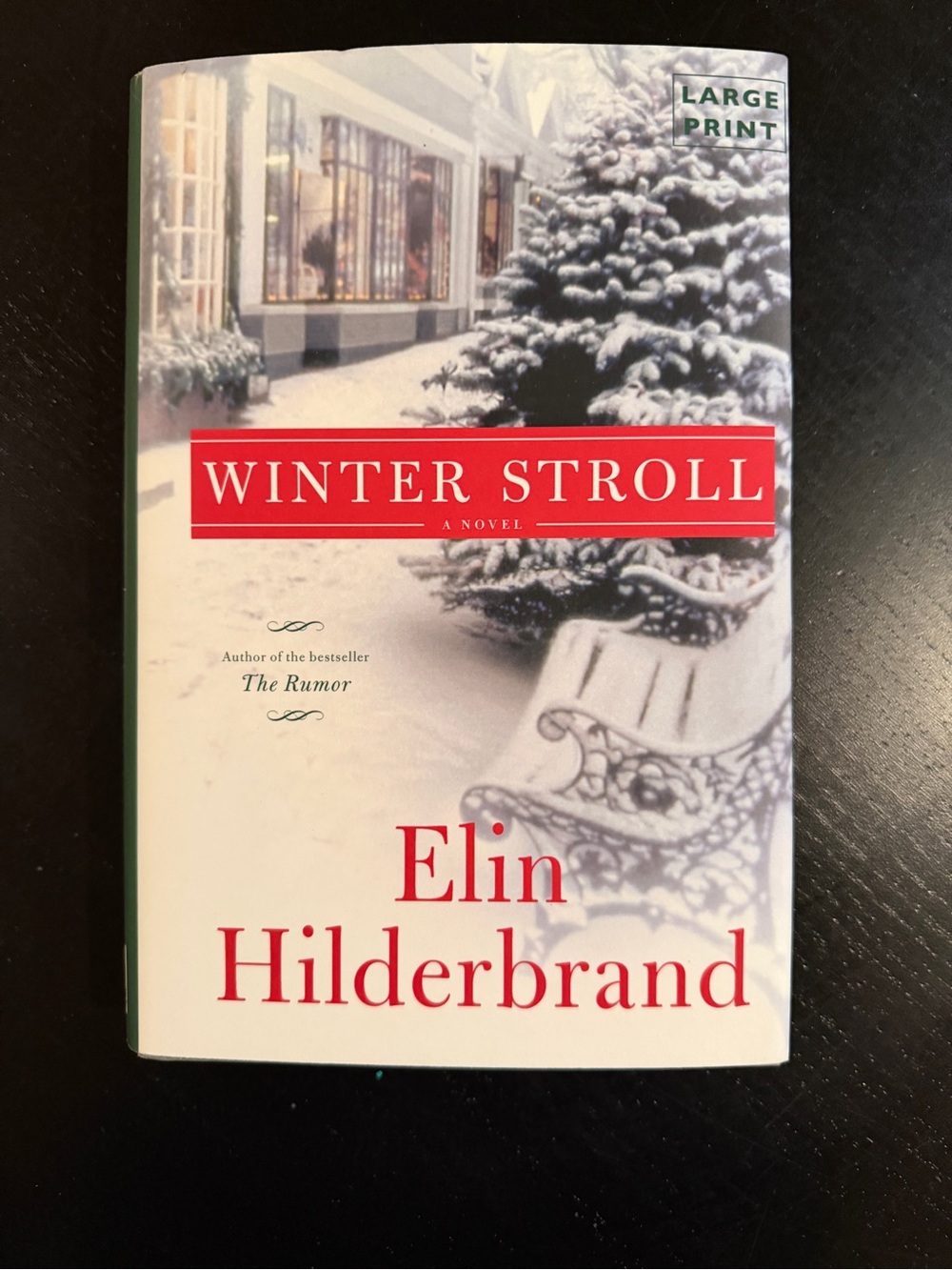 Elin Hilderbrand “Winter Stroll” (Large Print) Hardcover edition